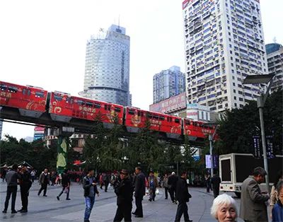 九龙花鸟市场——老商圈的浮沉日记 九龙花鸟市场——老商圈的浮沉日记