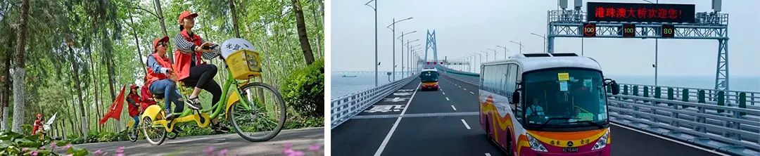 荐书 | 《中国城市状况报告 2020/2021》中英文版 荐书 | 《中国城市状况报告 2020/2021》中英文版