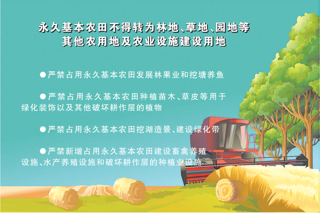 人民日报：防止耕地非粮化 把藏粮于地落实到位