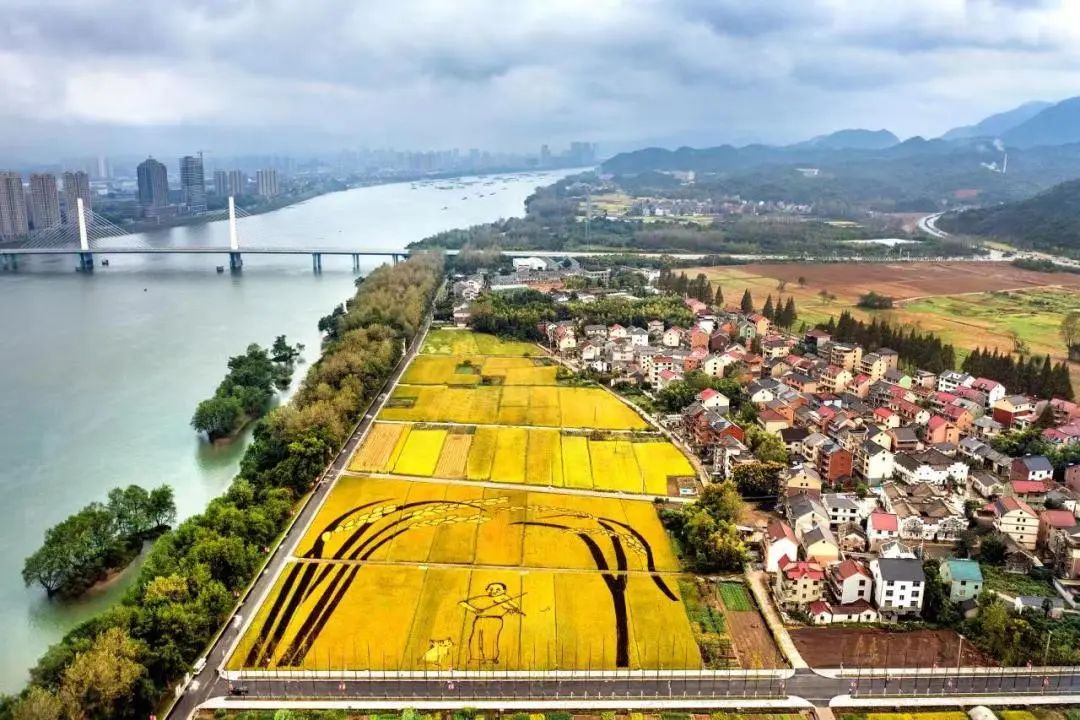 深化宅基地改革 开展“非粮化”整治 唤醒“沉睡资产”︱桐庐县激发强村富民新动能