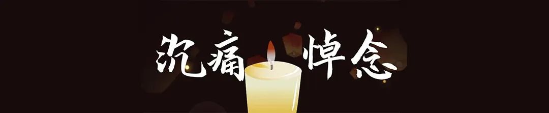 深切缅怀孟兆祯先生 | 浅谈城市的安全和规划的基点