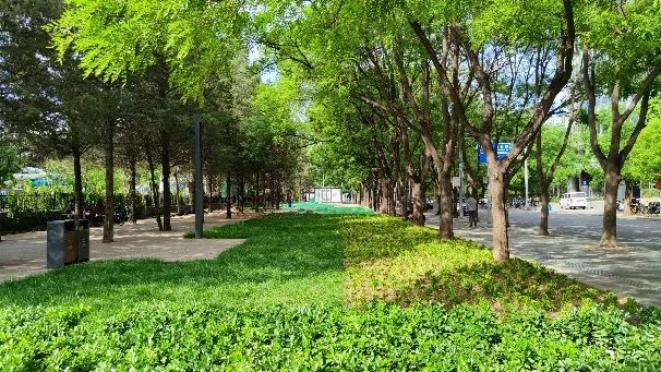 朝阳区丽都国际街区城市更新项目 | 北京城市更新“最佳实践” 朝阳区丽都国际街区城市更新项目 | 北京城市更新“最佳实践”