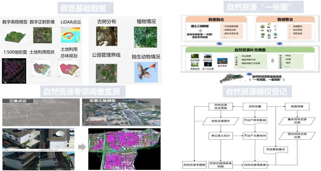 部门巡礼 | 自然资源调查监测中心/基础测绘中心：引领测量专业前行，实现老部门新活力