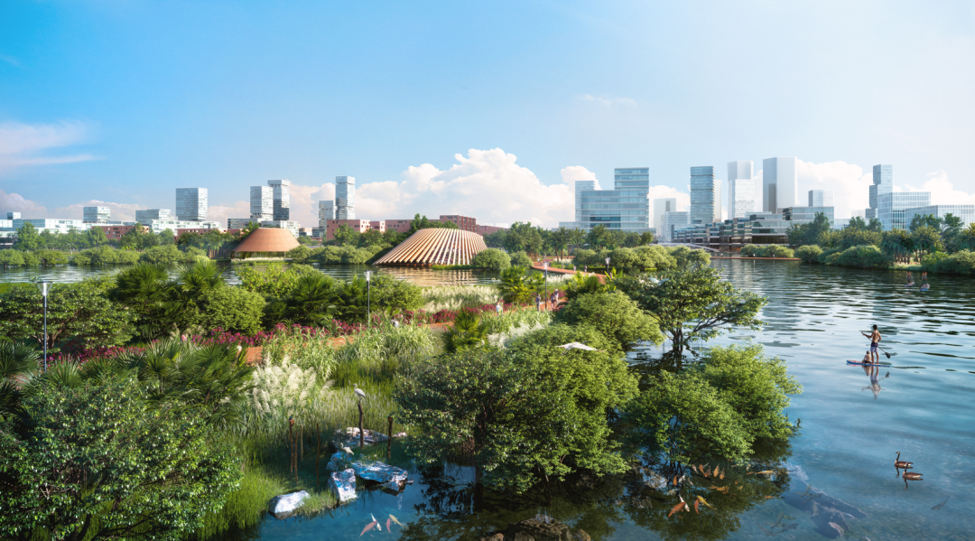 道术齐谋,以合促竞——粤港澳创新合作示范区城市设计国际竞赛 | 详细规划和城市设计 道术齐谋,以合促竞——粤港澳创新合作示范区城市设计国际竞赛 | 详细规划和城市设计
