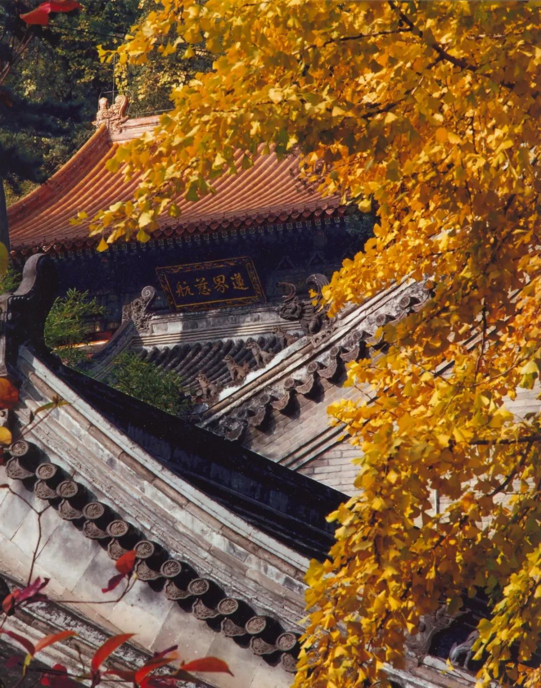 京城古迹丨潭柘寺:千年古寺,最负盛名 京城古迹丨潭柘寺:千年古寺,最负盛名
