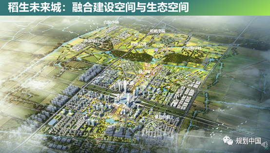 价值选择与设计态度——上海分院招投标项目的一些体会 价值选择与设计态度——上海分院招投标项目的一些体会