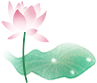 荷花塘,展新颜(上) 荷花塘,展新颜(上)