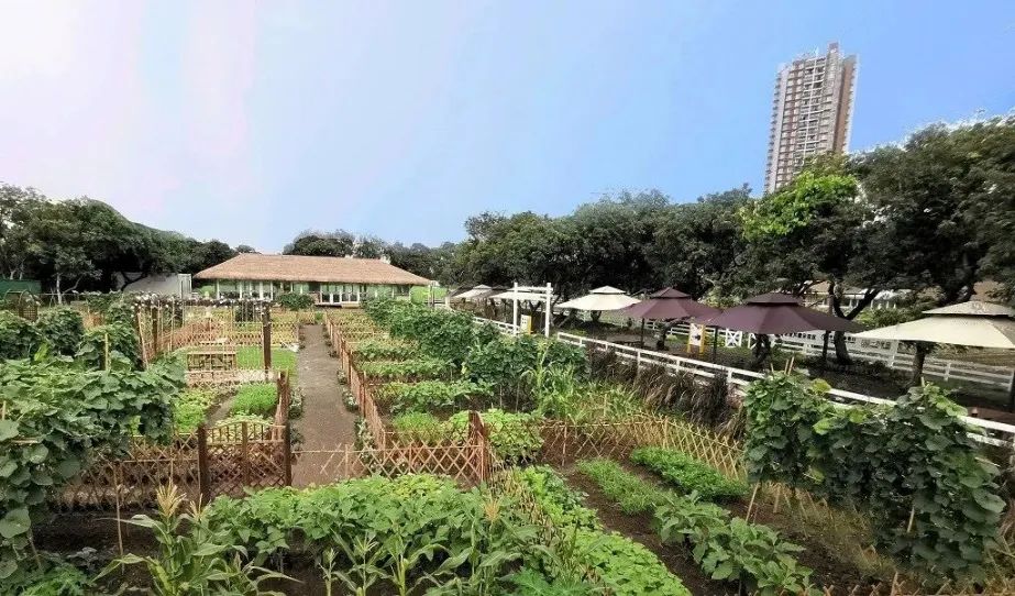 城乡高质量融合下广州都市农业建设的案例与思考 城乡高质量融合下广州都市农业建设的案例与思考