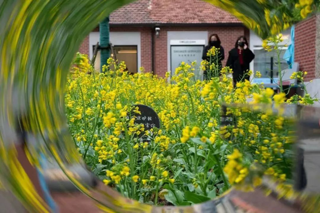 荐书 | 《中国城市状况报告 2020/2021》中英文版