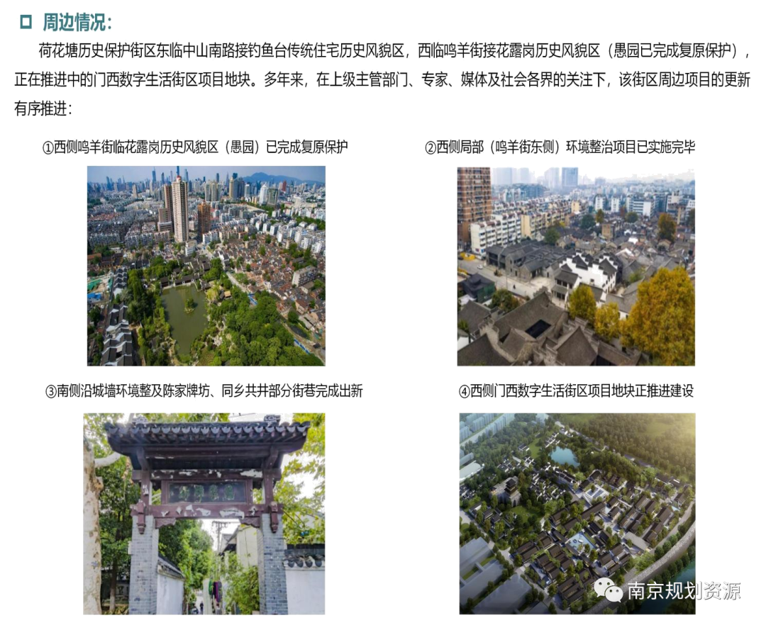 荷花塘，展新颜（下）