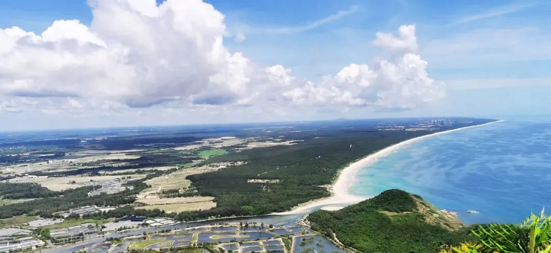 海南出台海洋生态系统碳汇试点工作方案（2022-2024年）