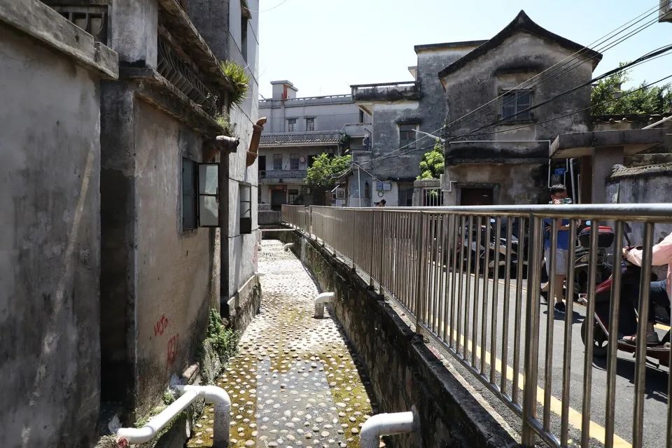 沙井古墟：在深圳，一座“城中村”的新生