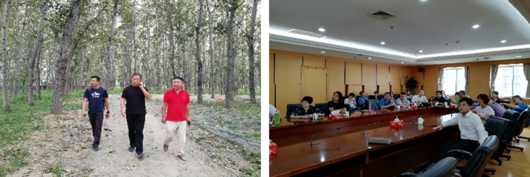 朝阳区丽都国际街区城市更新项目 | 北京城市更新“最佳实践” 朝阳区丽都国际街区城市更新项目 | 北京城市更新“最佳实践”