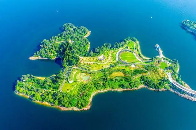 共“富”自然资源之约丨“森林淳安”的城市新名片：千岛湖植物园