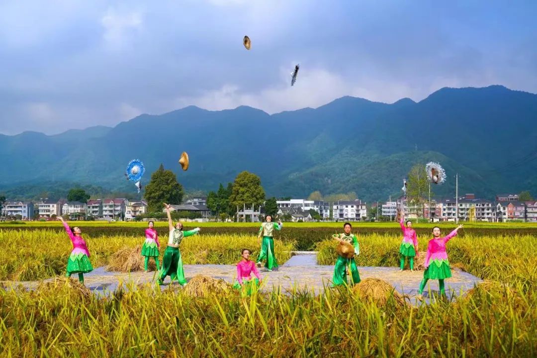 深化宅基地改革 开展“非粮化”整治 唤醒“沉睡资产”︱桐庐县激发强村富民新动能