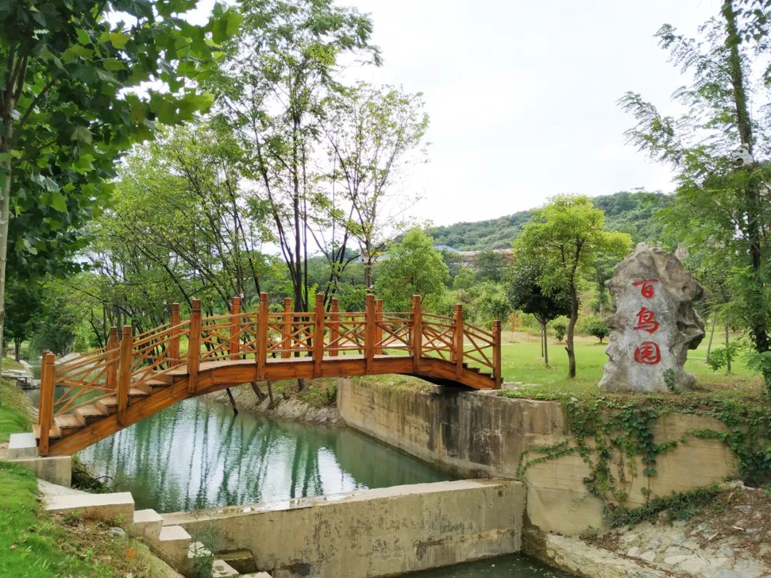 江西瑞昌:带活一方经济 护好一方山水 江西瑞昌:带活一方经济 护好一方山水