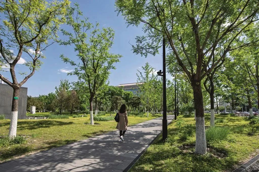 首届北京城市更新最佳实践评选揭晓,16处改造成“最佳实践” 首届北京城市更新最佳实践评选揭晓,16处改造成“最佳实践”