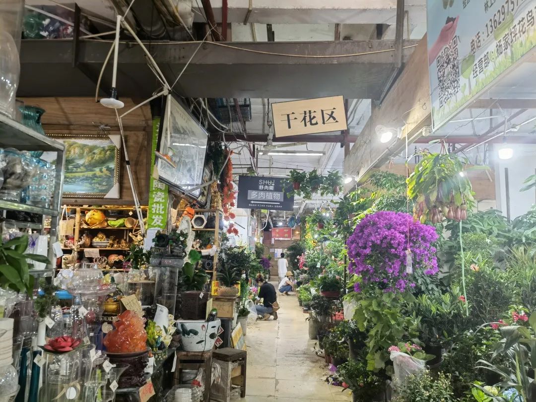 九龙花鸟市场——老商圈的浮沉日记 九龙花鸟市场——老商圈的浮沉日记