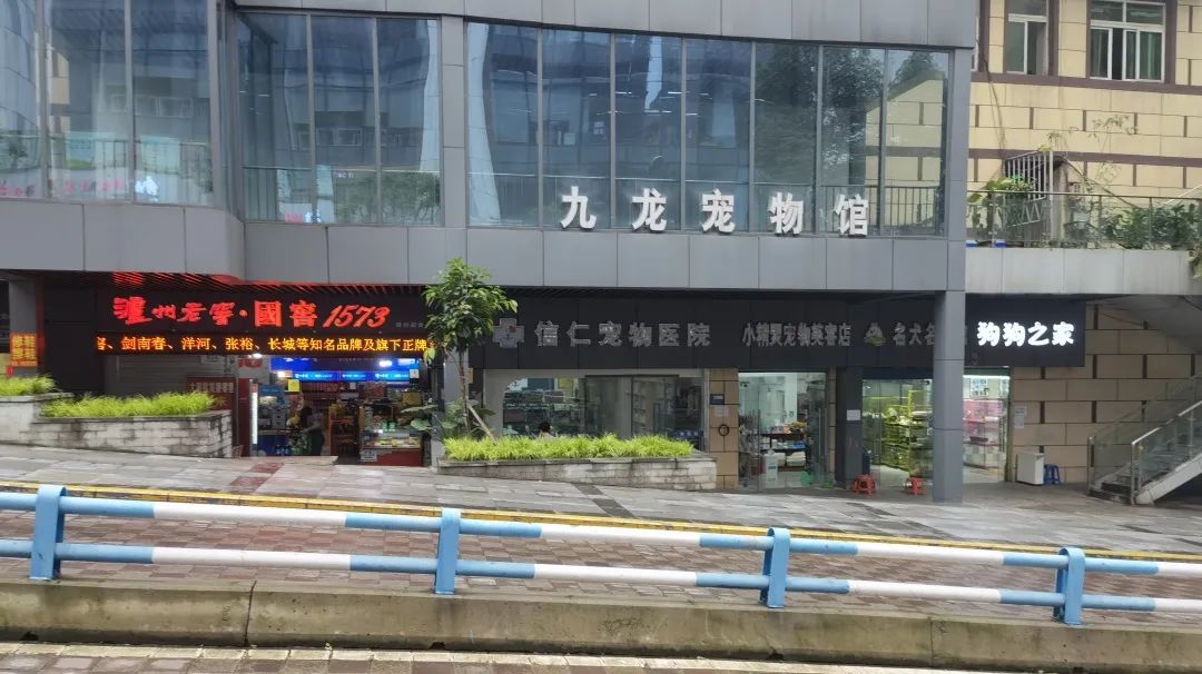 九龙花鸟市场——老商圈的浮沉日记 九龙花鸟市场——老商圈的浮沉日记