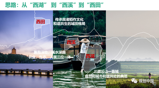 价值选择与设计态度——上海分院招投标项目的一些体会 价值选择与设计态度——上海分院招投标项目的一些体会