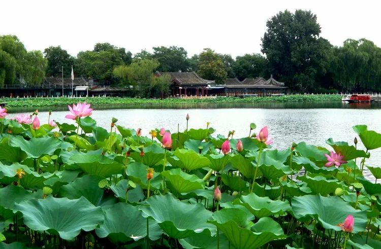 今日大暑 | 老北京有些什么习俗 今日大暑 | 老北京有些什么习俗