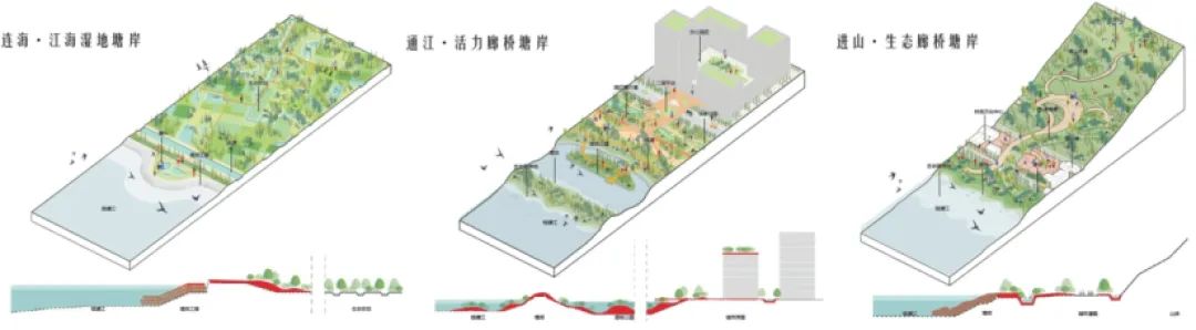 河口海岸生态修复:国内外典型案例借鉴 河口海岸生态修复:国内外典型案例借鉴