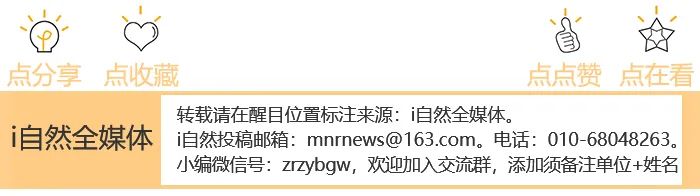 打击“洗洞”盗采金矿专项整治行动转段工作视频会召开
