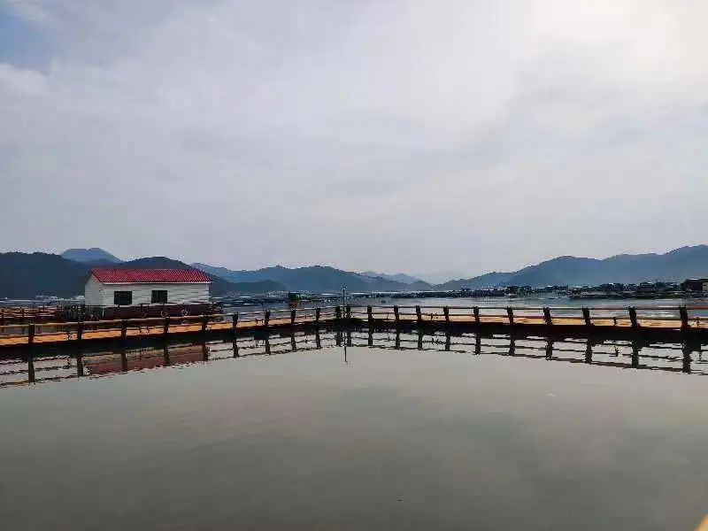 未来乡村共富模式的浙江经验与发展展望