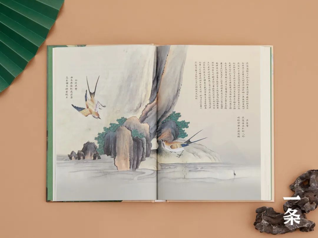 全彩注译版《海错图》，重现深藏清宫300年的“海洋生物博物馆”！
