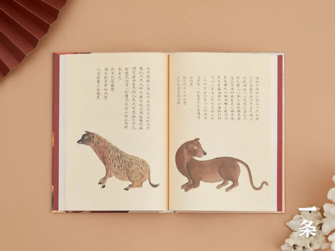 全彩注译版《海错图》，重现深藏清宫300年的“海洋生物博物馆”！