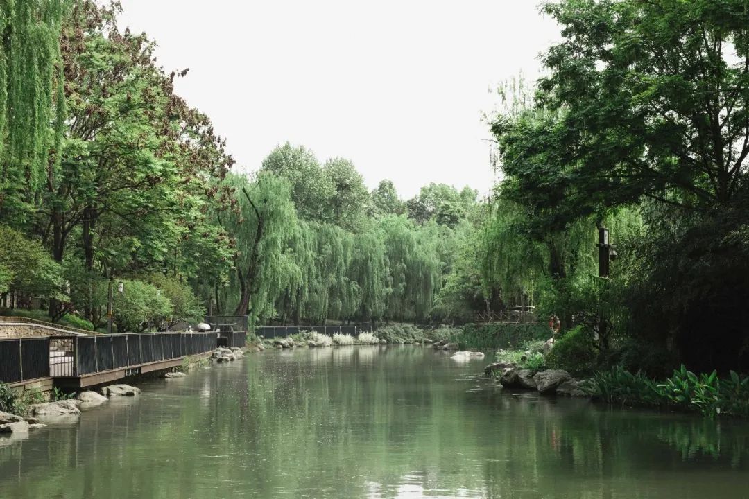 线性、编织、智慧...卸下“概念包装”,明日城市有多远? 线性、编织、智慧...卸下“概念包装”,明日城市有多远?