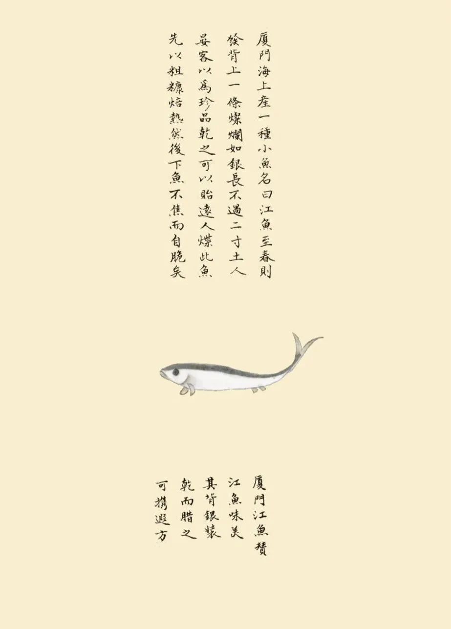 全彩注译版《海错图》，重现深藏清宫300年的“海洋生物博物馆”！