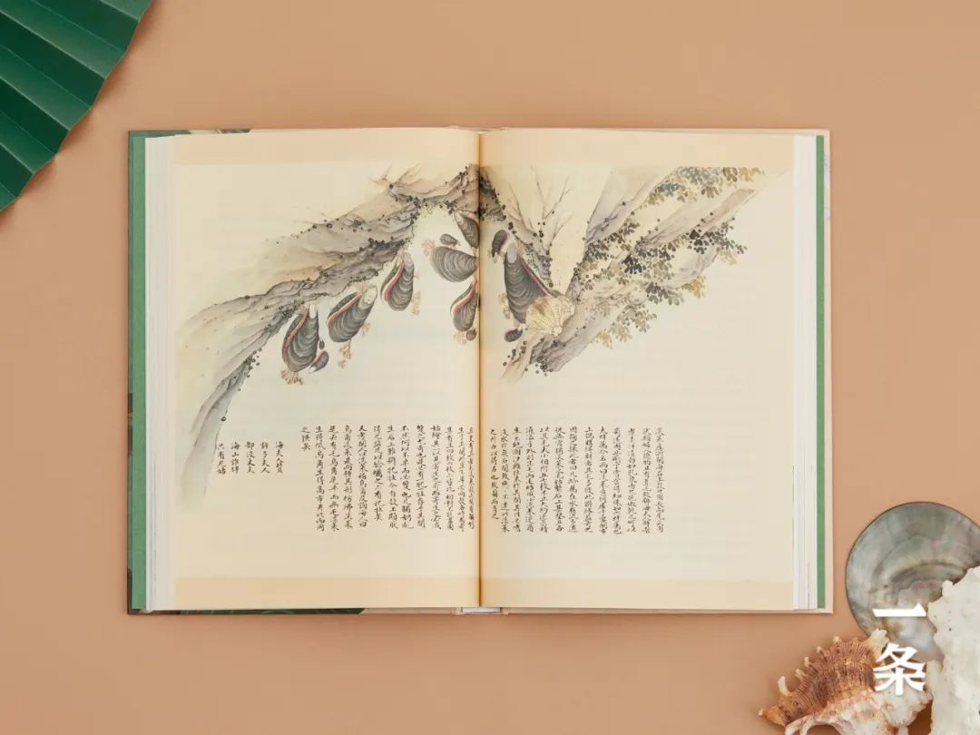 全彩注译版《海错图》，重现深藏清宫300年的“海洋生物博物馆”！