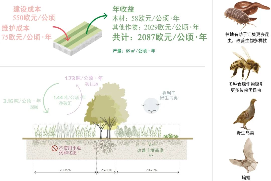 国际资讯 | [荷]《环境法》快速落地指导项目/生物基材料(2022.8)