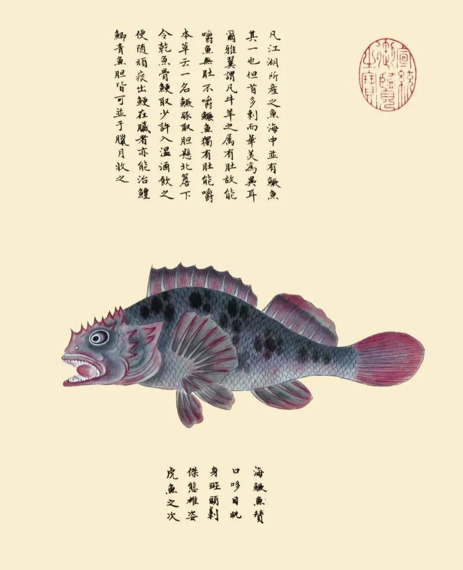 全彩注译版《海错图》，重现深藏清宫300年的“海洋生物博物馆”！