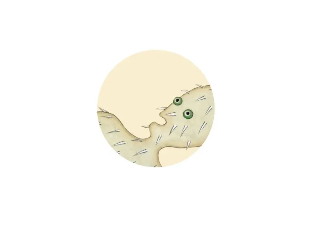 全彩注译版《海错图》，重现深藏清宫300年的“海洋生物博物馆”！