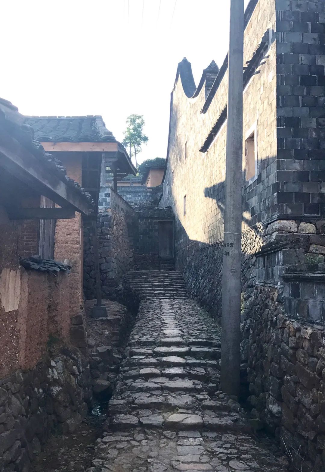 【遗珠拾粹】国家历史文化名城研究中心历史街区调研 —— 福建省宁德市霞浦县畲乡半月里村