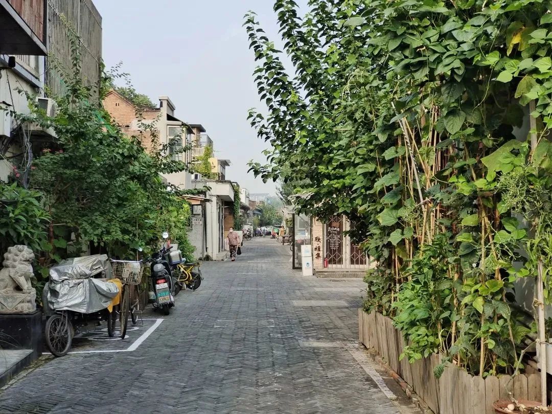 杨梅竹斜街入选联合国项目库,大栅栏街区更新再添新标签 杨梅竹斜街入选联合国项目库,大栅栏街区更新再添新标签