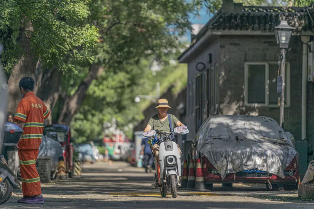老胡同 · 新生活 | 到北京首条古树主题文化胡同走一走~ 老胡同 · 新生活 | 到北京首条古树主题文化胡同走一走~