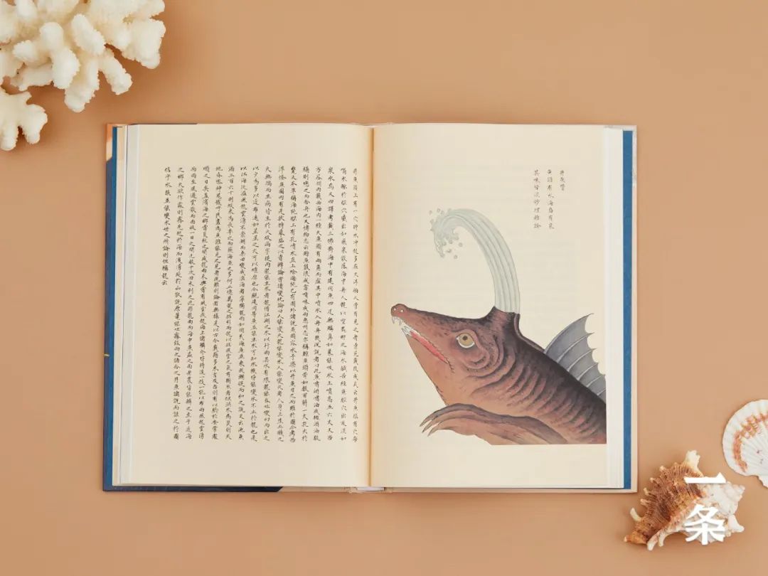 全彩注译版《海错图》，重现深藏清宫300年的“海洋生物博物馆”！