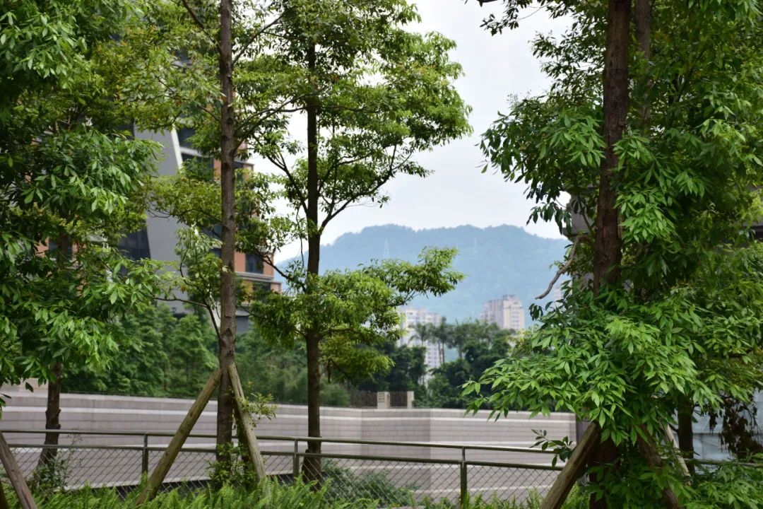 一名在重庆的社区设计师：介入场景营造，完善生活日常