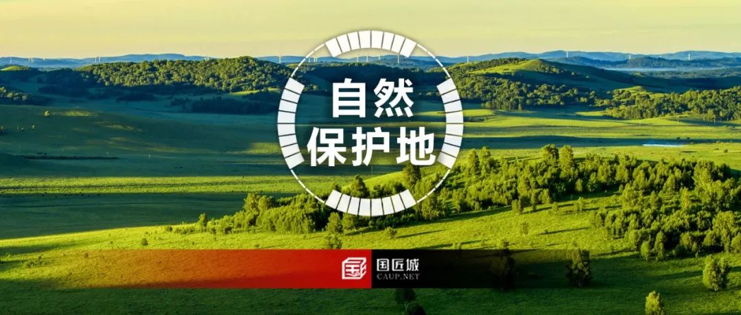 关于“自然保护地”,这些文献推荐给你 关于“自然保护地”,这些文献推荐给你