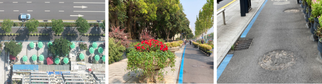 全周期管理视角下的街道更新实践后评估——以武汉市沿江大道卓越段为例 全周期管理视角下的街道更新实践后评估——以武汉市沿江大道卓越段为例