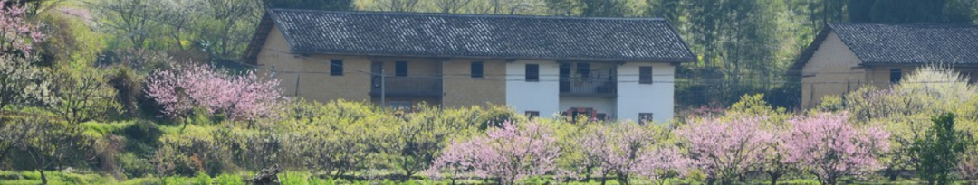 【墙报】以规划与实践结合探索深圳社区共建花园机制等 | 规划实施与管理② 【墙报】以规划与实践结合探索深圳社区共建花园机制等 | 规划实施与管理②