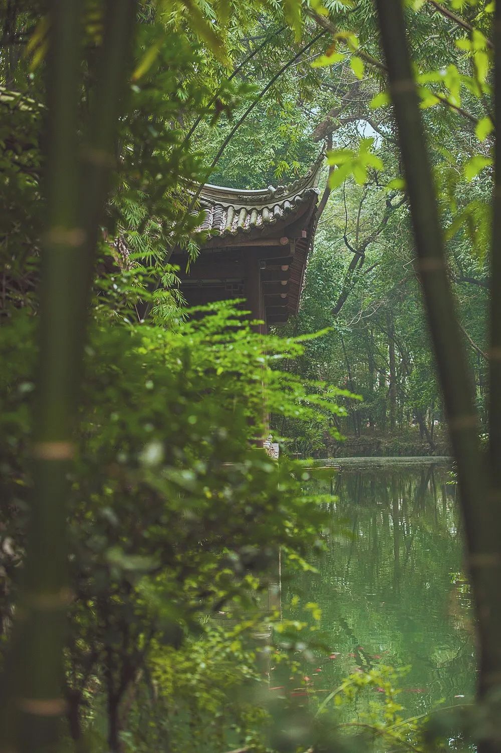 线性、编织、智慧...卸下“概念包装”,明日城市有多远? 线性、编织、智慧...卸下“概念包装”,明日城市有多远?