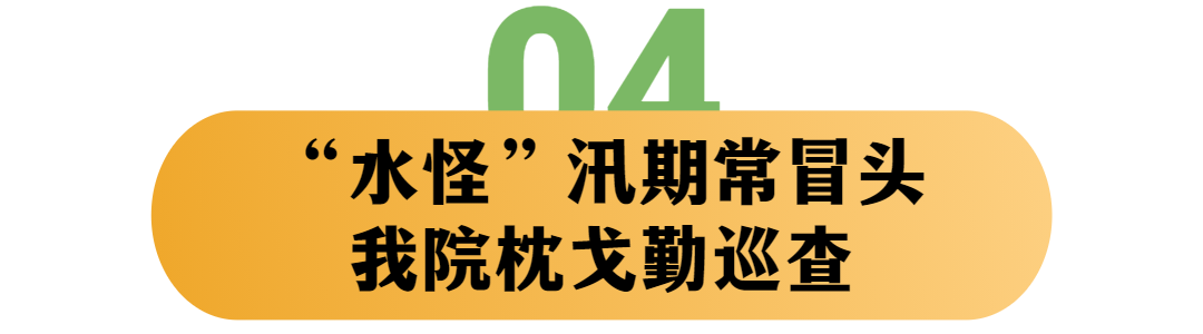 “水怪”汛期冒头,我们“能封能打”!岩土工程师三招治理斜坡类地质灾害 “水怪”汛期冒头,我们“能封能打”!岩土工程师三招治理斜坡类地质灾害