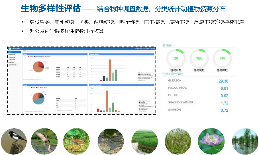 上海智慧公园数字场景设计探讨(数话人民城市系列研究) 上海智慧公园数字场景设计探讨(数话人民城市系列研究)