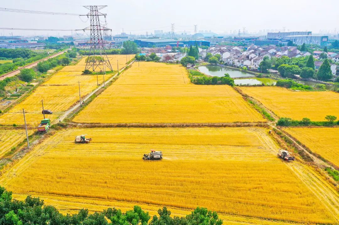 江苏:打造幸福栖息地 江苏:打造幸福栖息地