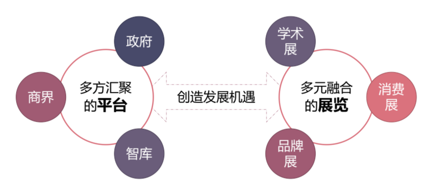 尹稚:汇聚各方力量,开创城市更新新格局 尹稚:汇聚各方力量,开创城市更新新格局
