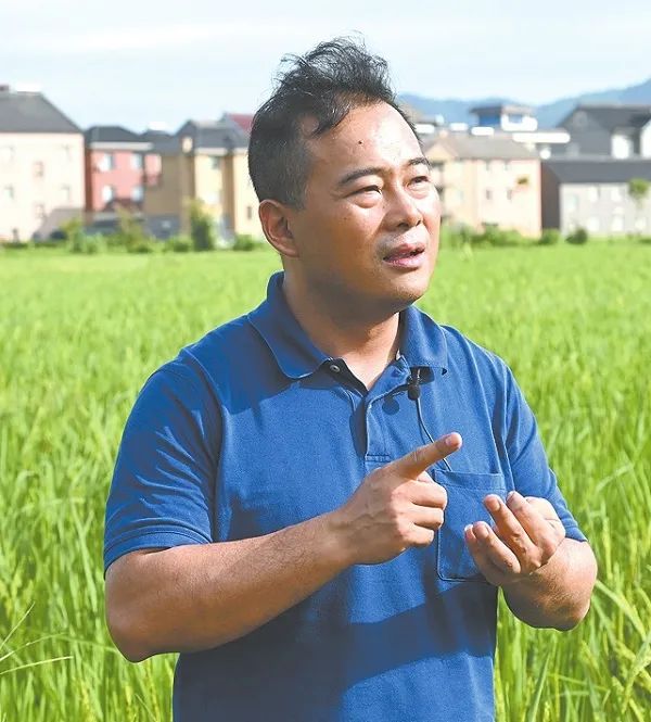 致敬“最美自然守护者”『我乐意当一名耕地守护者』︱记浙江省杭州市国土整治中心主任沈乐毅